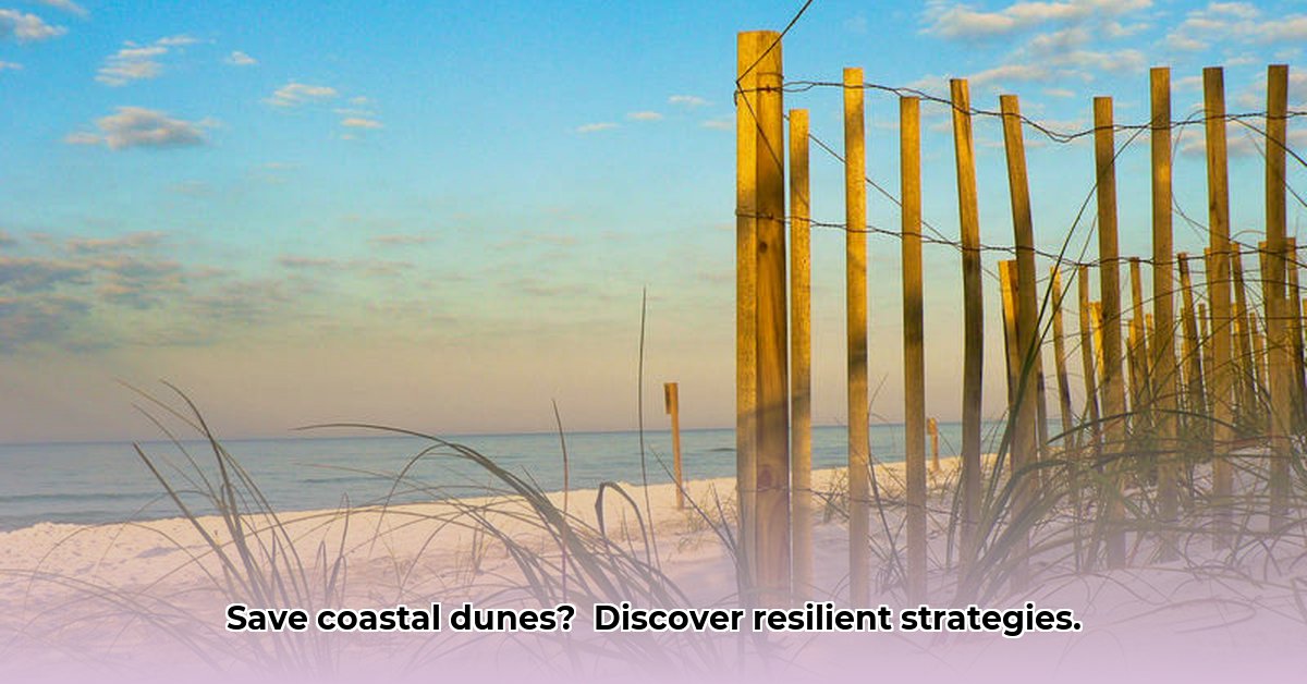 coastal-dune-plant-management